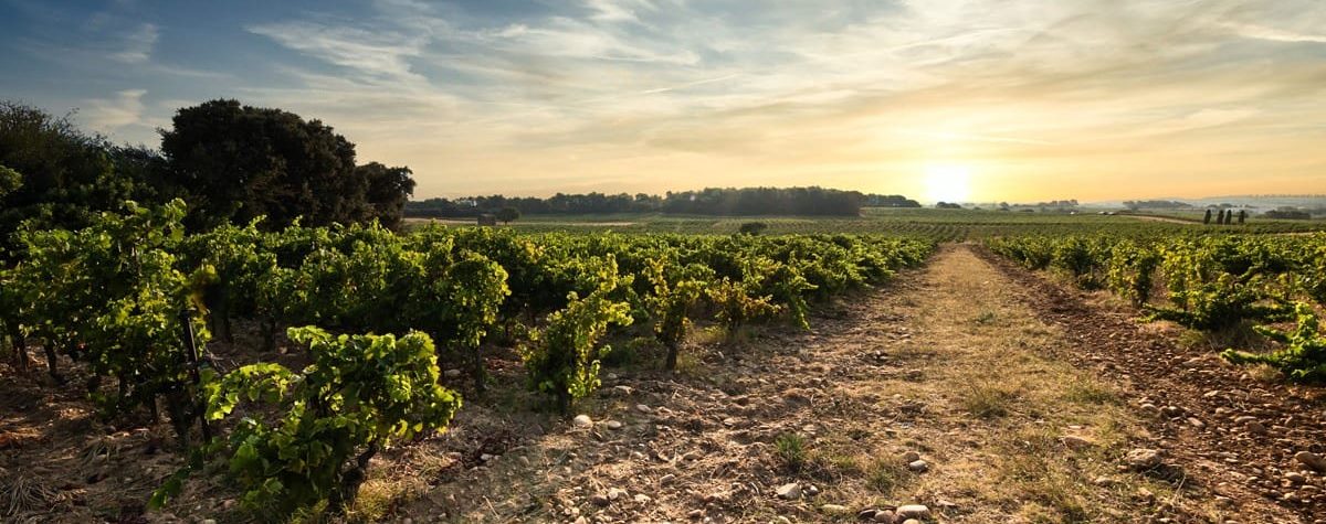 IMG_20200707_145327_950